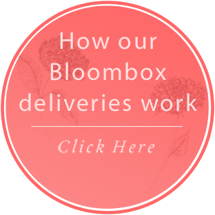 Buy a Bloombox as a gift