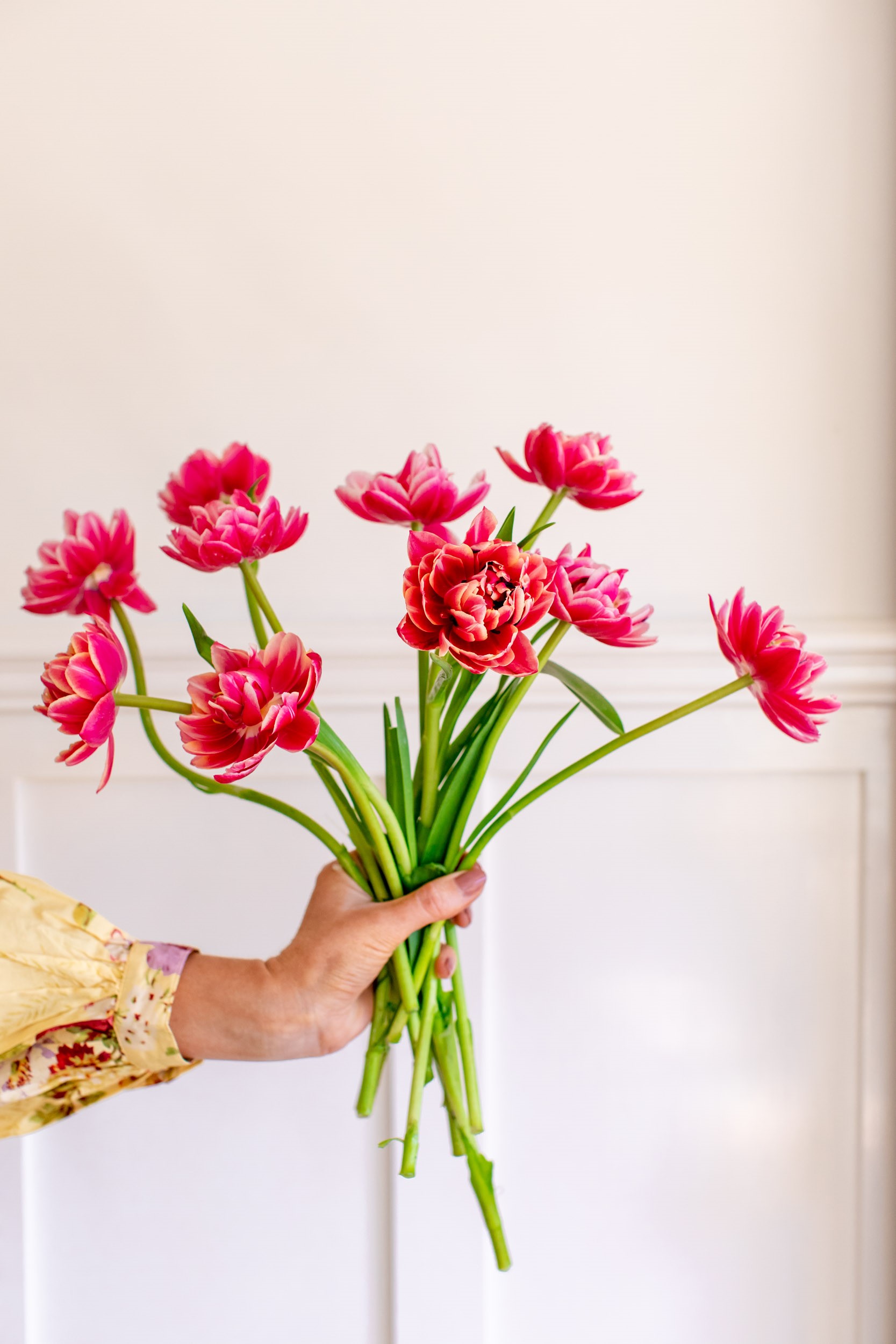 Tulip Growers Bundle